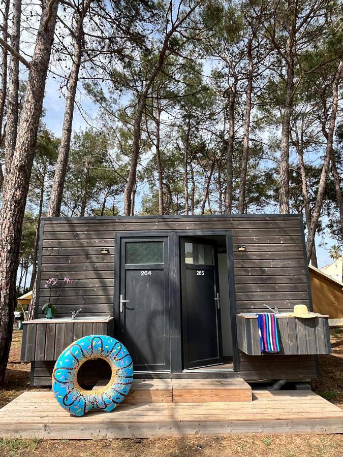 Location de vacances pour 5 personnes, avec piscine et jardin, animaux acceptés dans la Tamarissière - 3