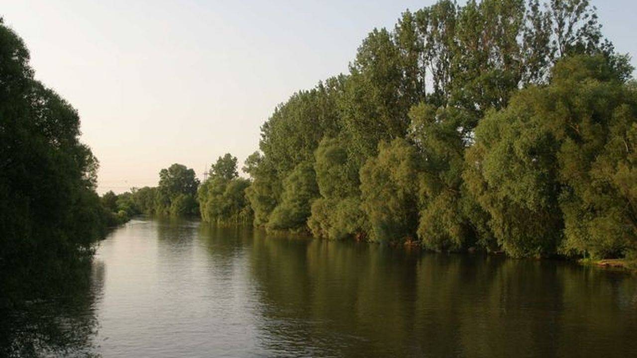 Ganze Ferienwohnung, Ferienwohnung für 1 Person (18 m²) in Erlangen in Erlangen, Franken