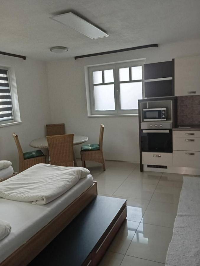 Gîte pour 4 personnes, avec terrasse, animaux acceptés à Domažlice - 4
