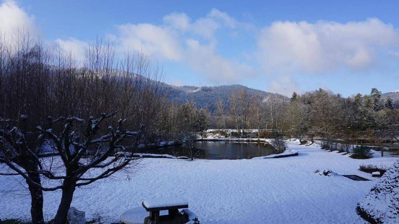 Ferienhaus für 4 Personen (40 m²) in Vagney in Vagney, Regionaler Naturpark Belchen der Vogesen