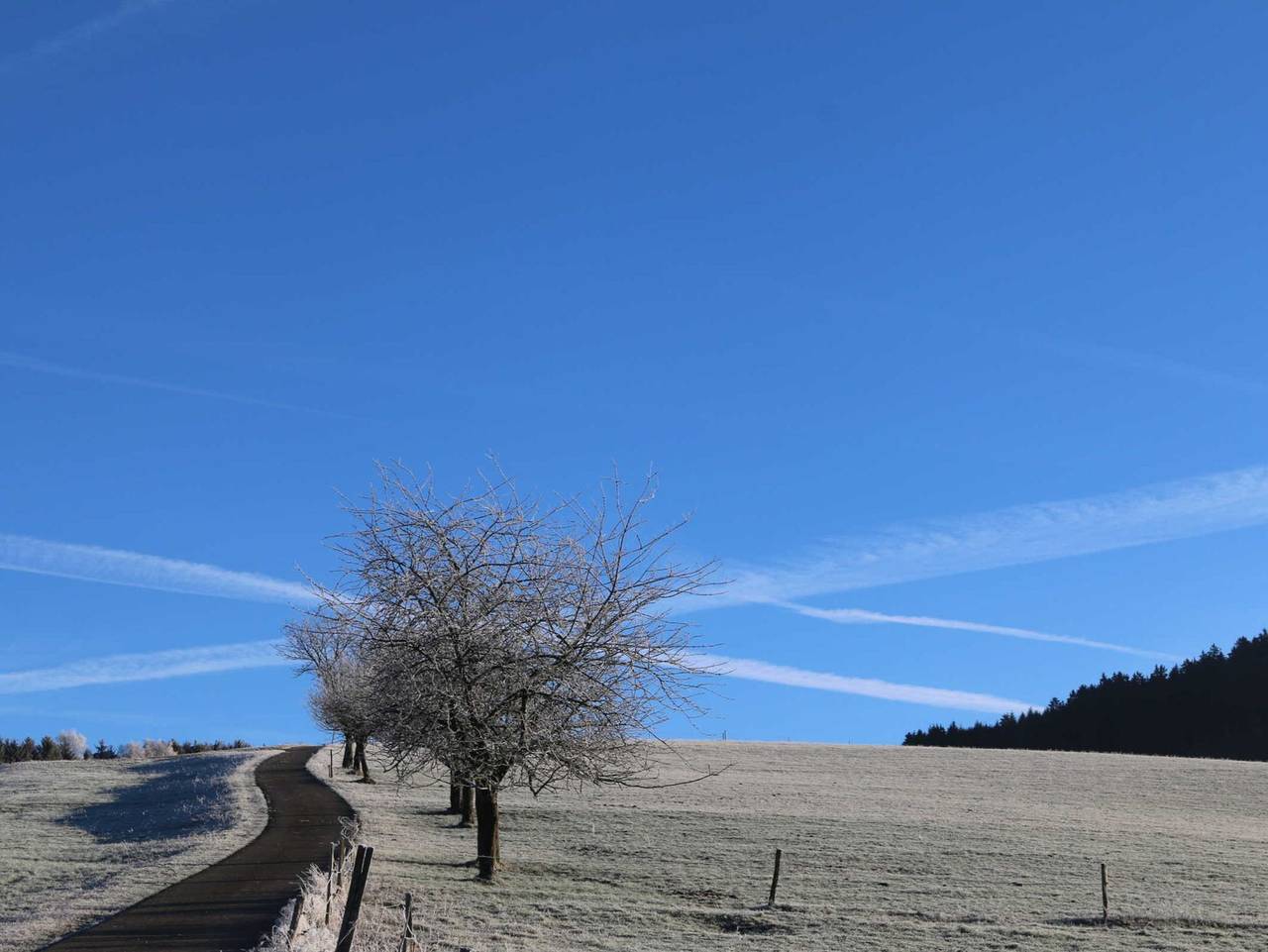 Ganze Ferienwohnung, Schwörerhof - Ferienwohnung 70qm, 2 Schlafräume, 1 Wohn-/ Schlafraum in Schuttertal, Hochschwarzwald