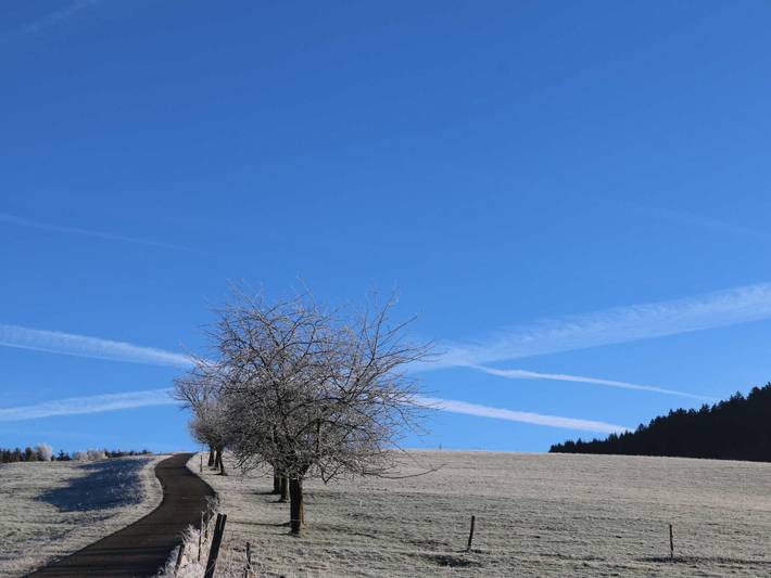 Ferienwohnung für 5 Personen, mit Terrasse und Garten, kinderfreundlich in Schuttertal - 2