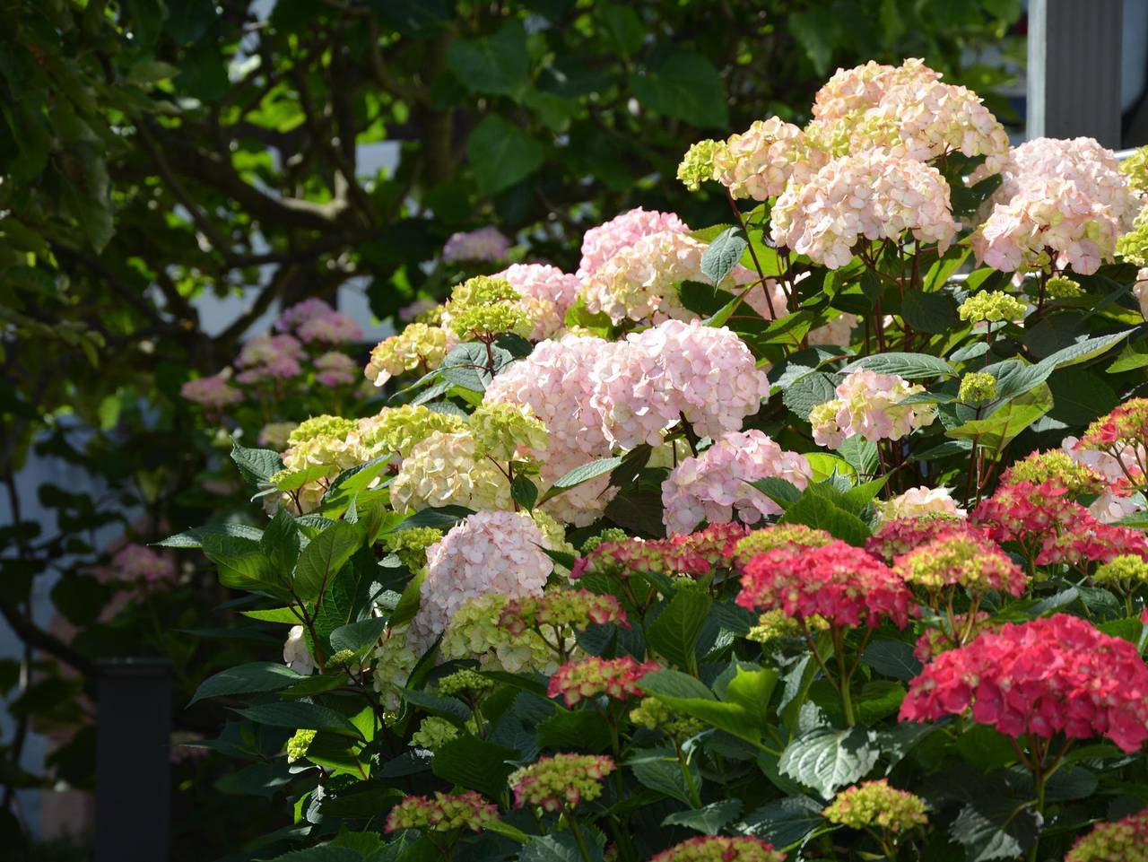 Ferienhaus 1534 - Ferienhaus, Dusche und Bad, Wc, 2 Schlafräume in Hambach (Neustadt), Neustadt an der Weinstraße