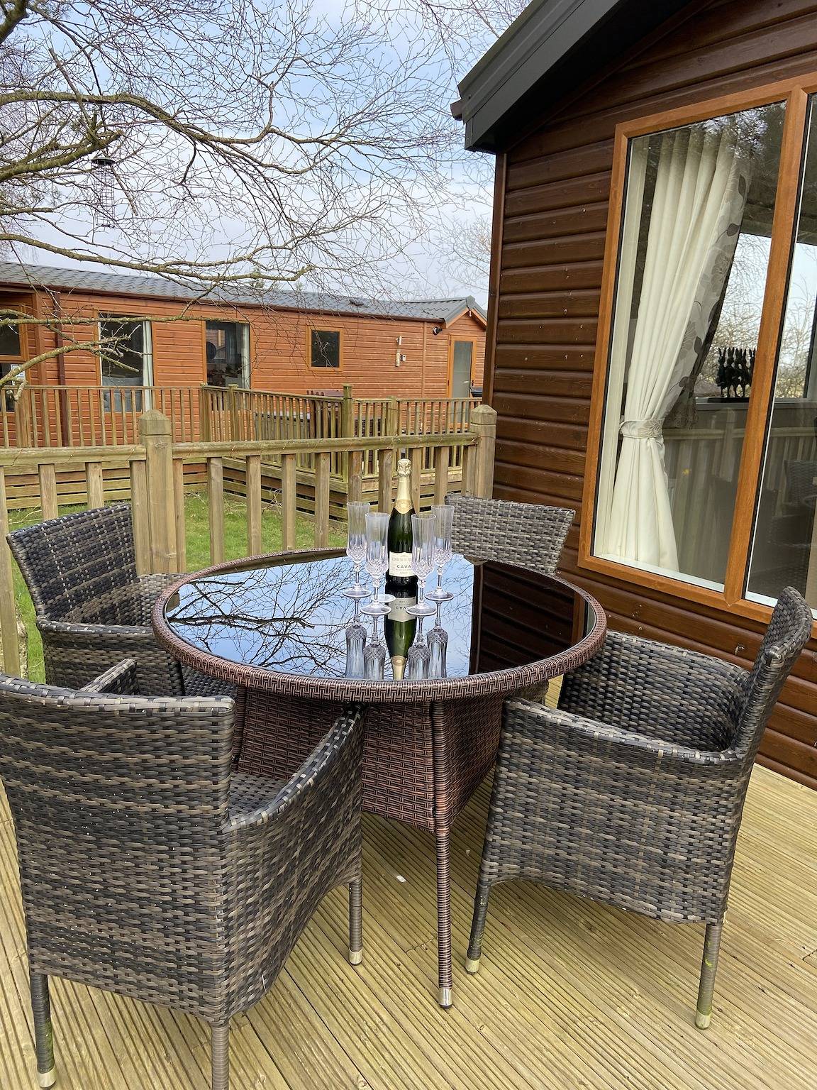 Little Fawn in Northumberland