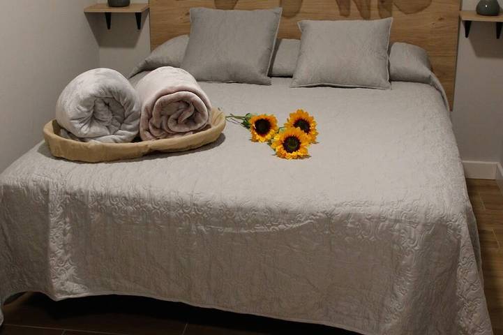 Apartamento entero, Apartamentos Tierra de Lavanda - Piedra bermeja in Brihuega, Alcarría Alta