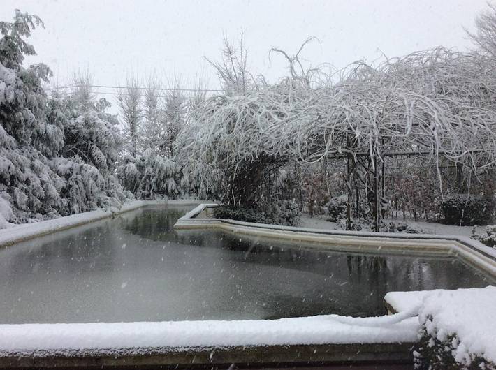 Location de vacances pour 12 personnes, avec piscine et terrasse ainsi que vue et jardin à Herentals - 4