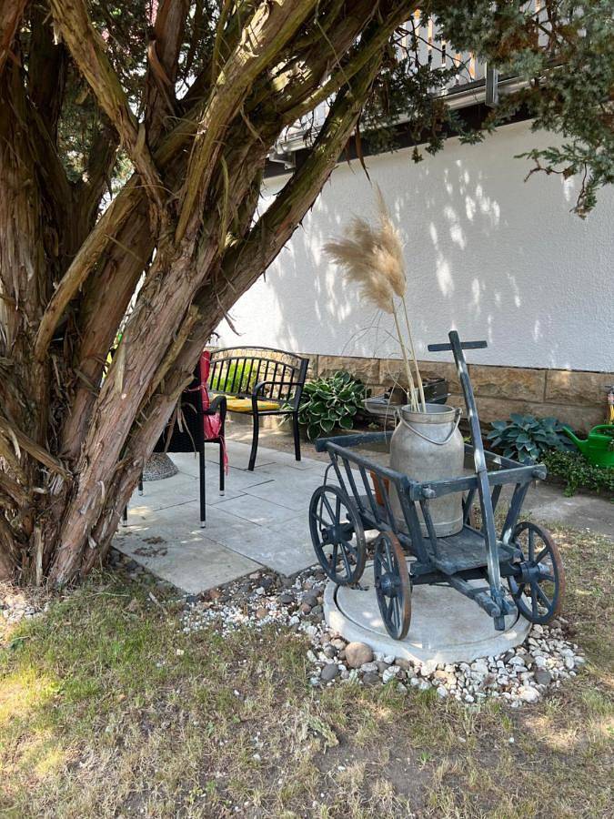 Ferienwohnung für 4 Personen, mit Terrasse und Ausblick in Festung Königstein - 4