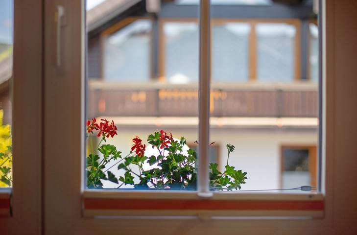 Chambre 'Lerche' avec vue sur les montagnes, terrasse privée et Wi-Fi in St. Märgen town, St. Märgen