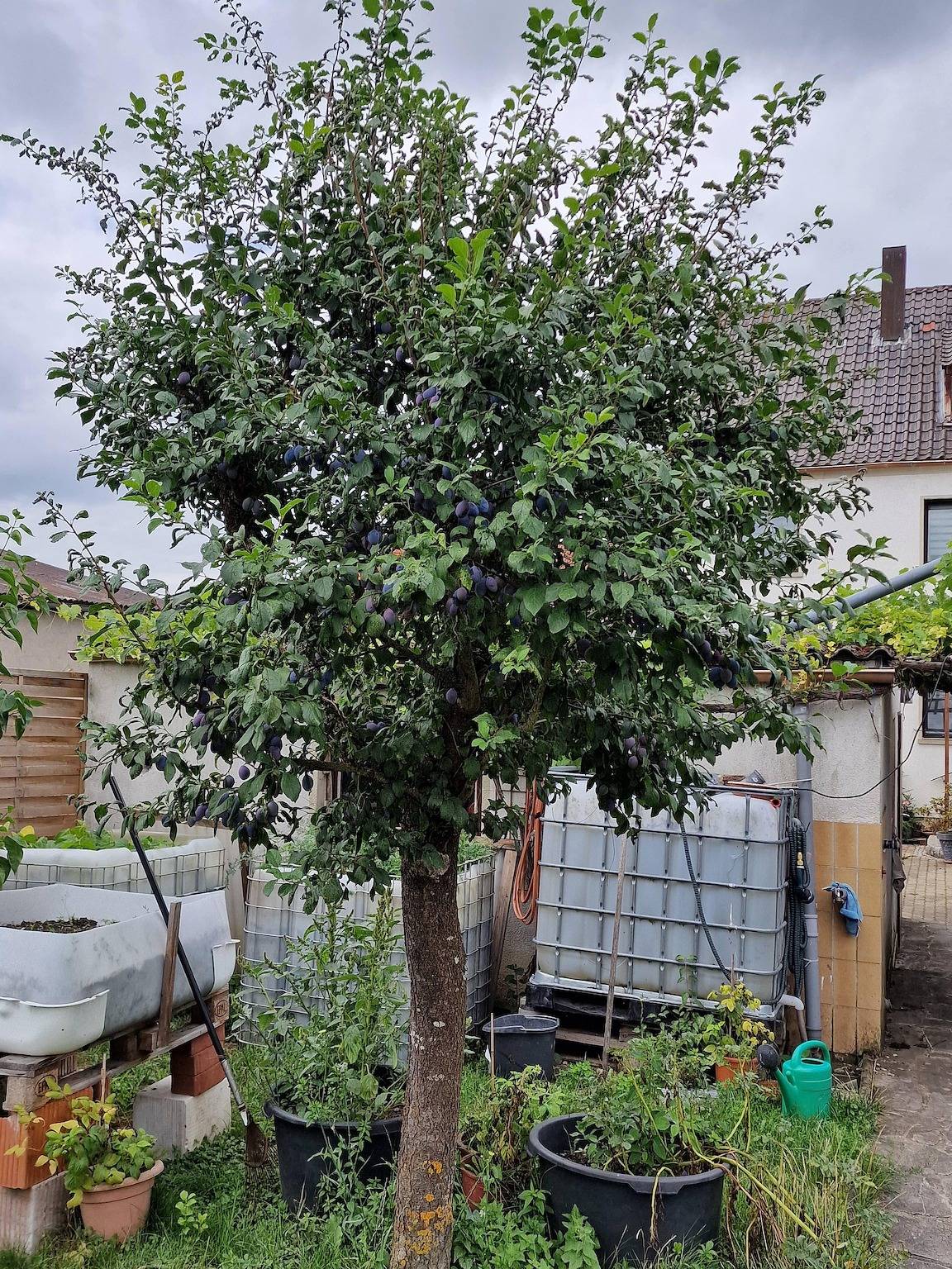 Gästehaus 24 - Kinderfreundliche Ferienwohnung mit familiärem Ambiente und Terrasse in Grettstadt, Fränkisches Weinland