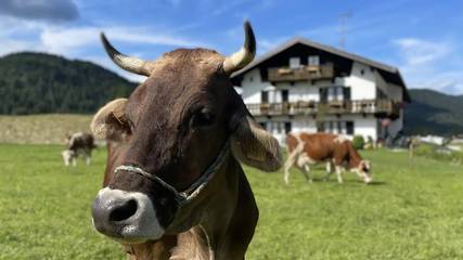 Ferienwohnung für 2 Personen in Wallgau, Bayerische Alpen, Bild 1