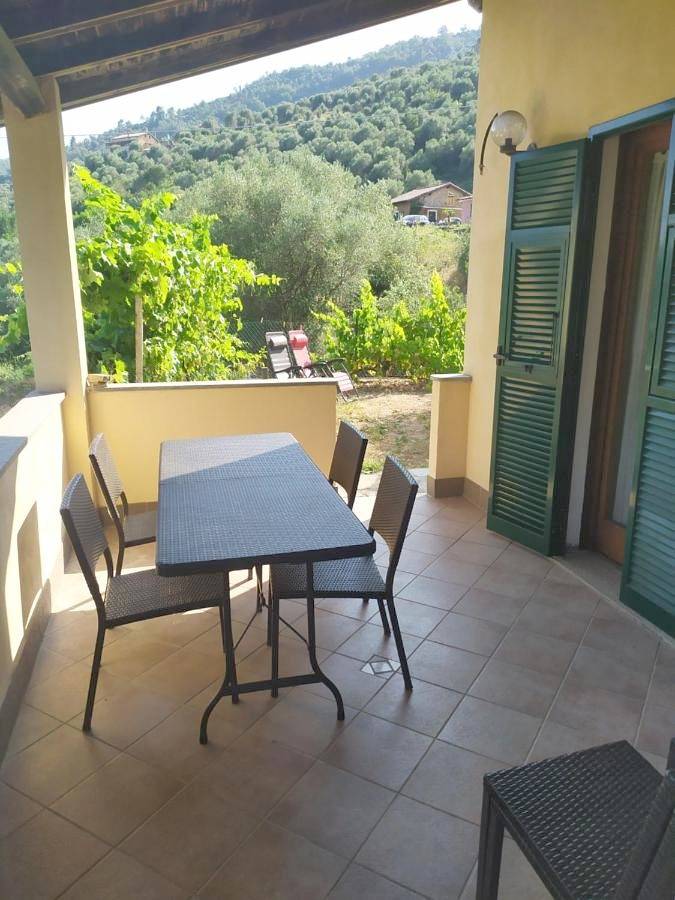 Maison de campagne pour 8 personnes, avec vue ainsi que jardin et piscine à Dolceacqua - 4