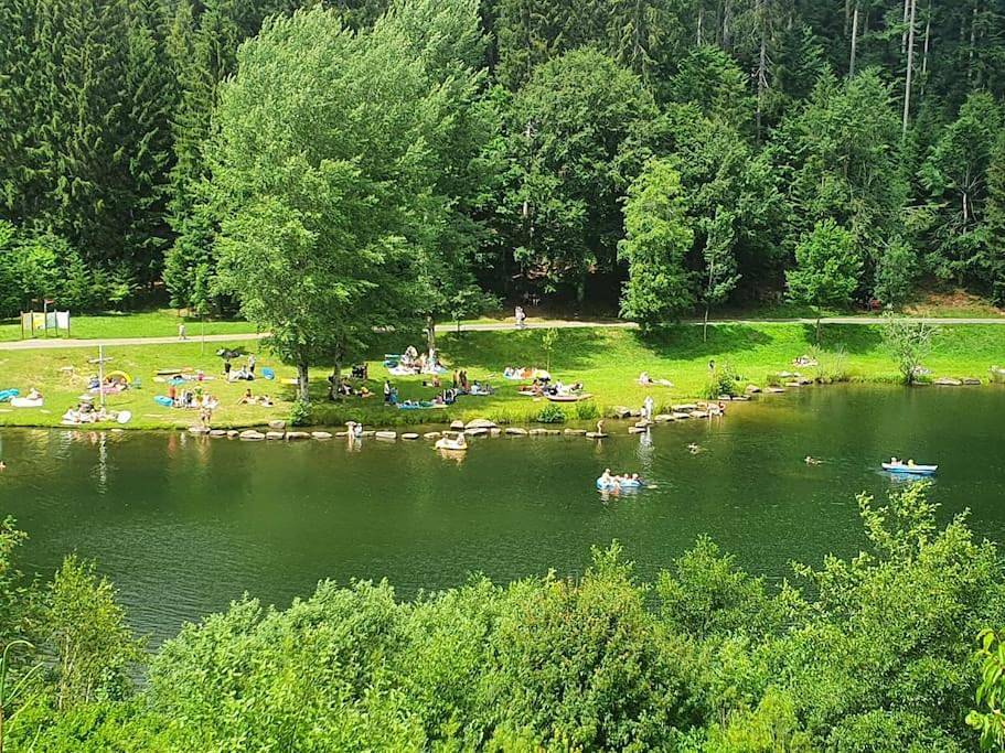 Ganze Wohnung, Apartment with Lake View in Seewald, Nordschwarzwald