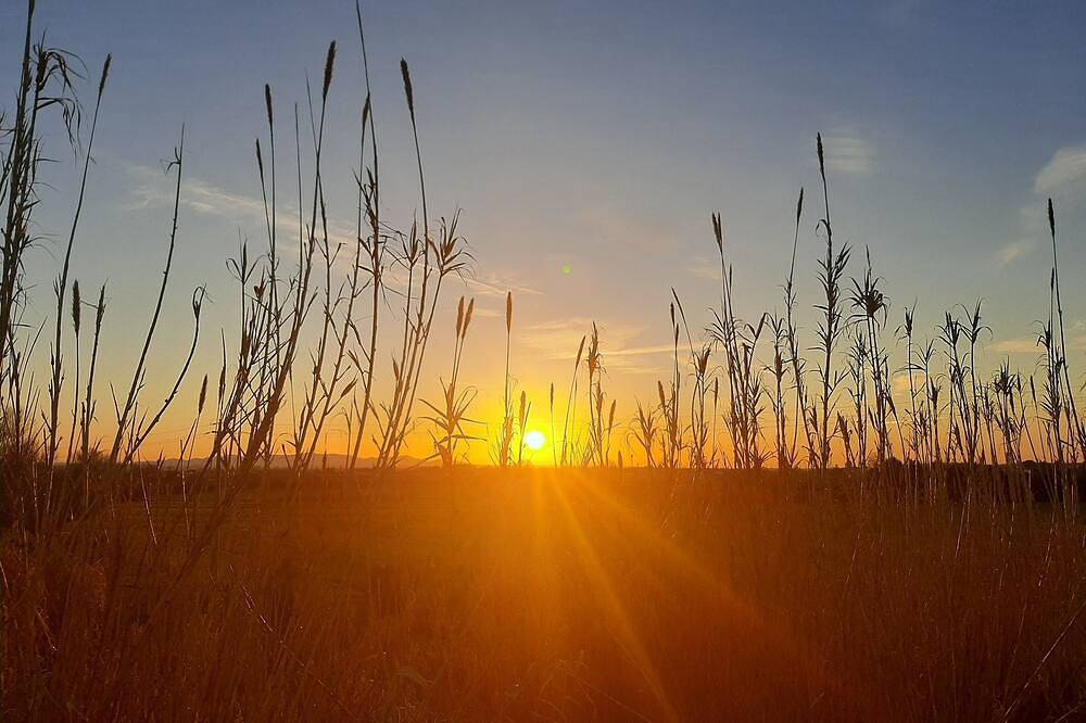 Orange Blossom House in Pontedera, Pisa Provinz