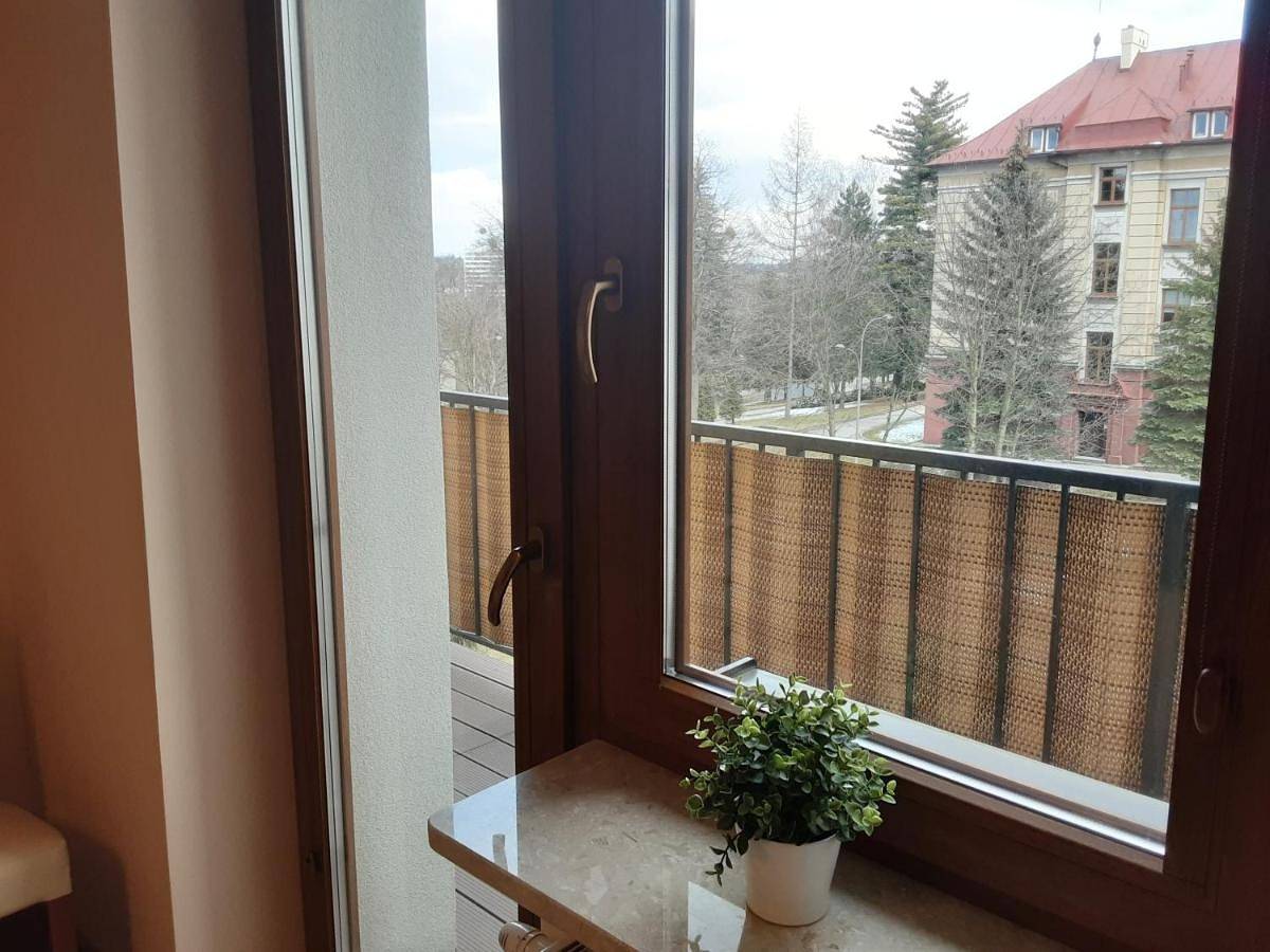 Cały apartament, Academy Apartment Cieszyn in Cieszyn, Karpaty (Polska)