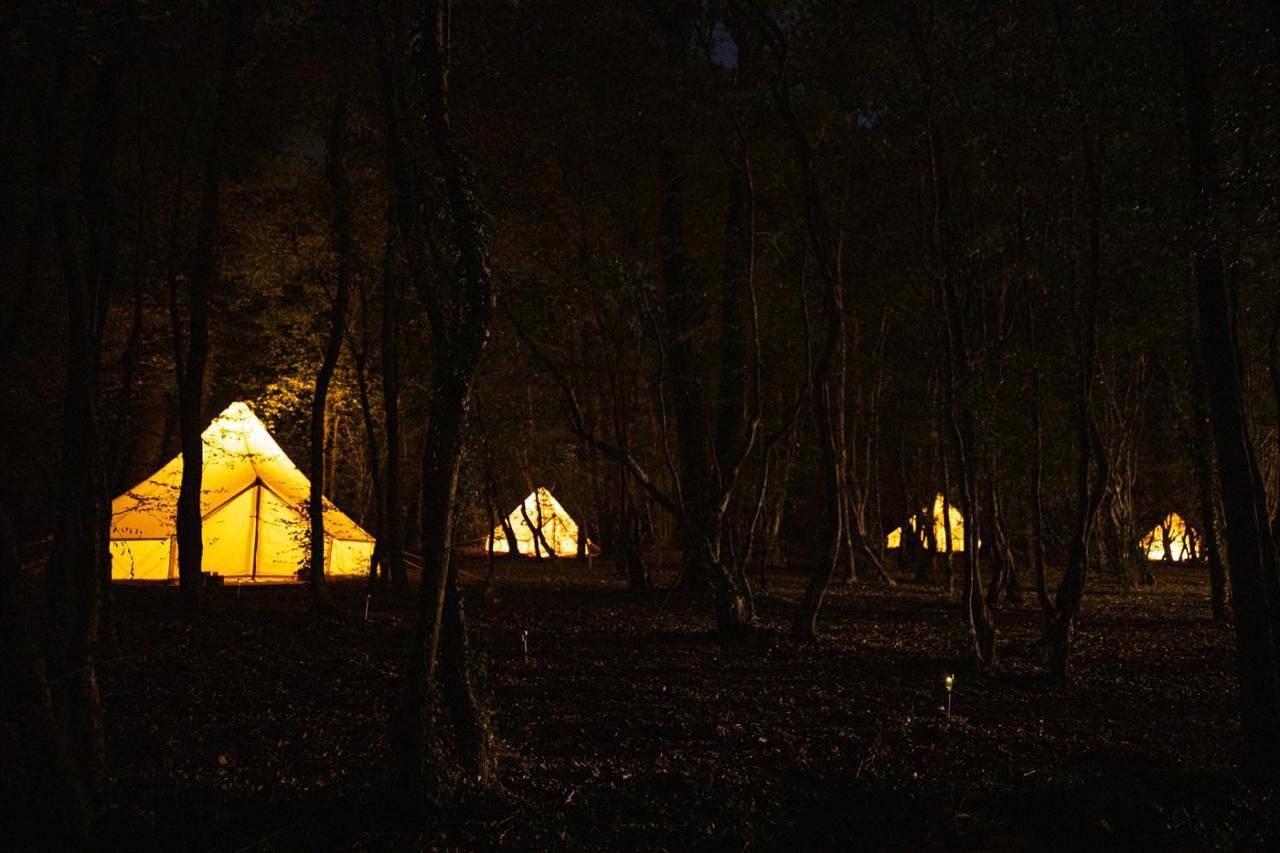 Tent in Opština Danilovgrad