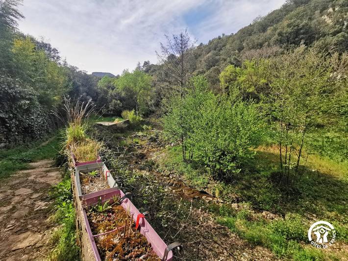 Gîte für 2 Personen, mit Terrasse, mit Haustier in Occitanie - 4