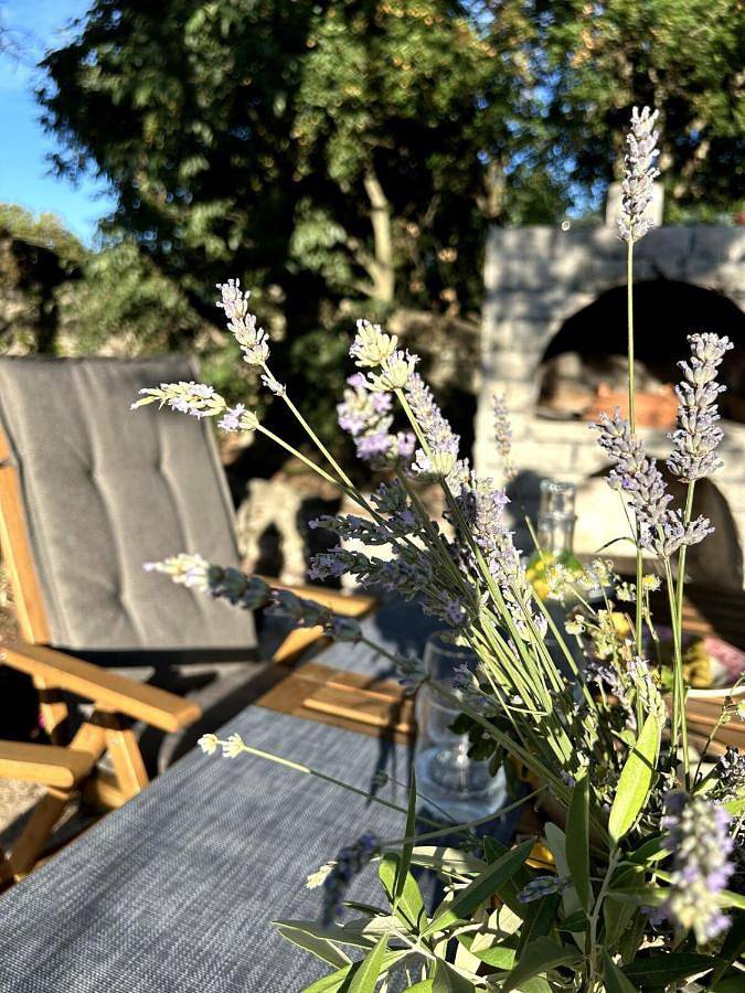 Apartamento de vacaciones para 2 personas, con terraza y jardín - 1