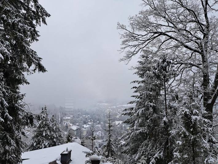 Chambre d’hôte pour 2 personnes, avec vue et jardin dans Silésie - 3
