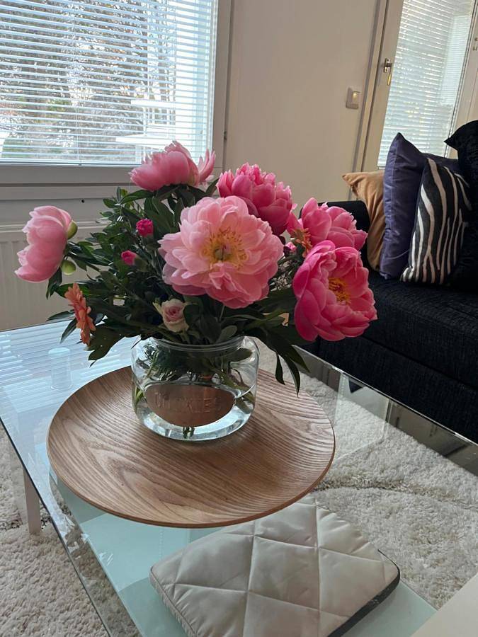 Apartamento de vacaciones para 6 personas, con vistas además de sauna y terraza, Se admiten mascotas - 1