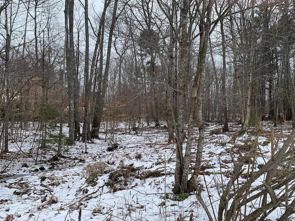 Cottage in Edgecomb - Waterfront Holiday Getaway in Edgecomb, Lincoln County (Maine)