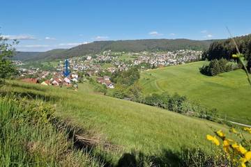 Hütte für 4 Personen, mit Balkon und Sauna in Baiersbronn