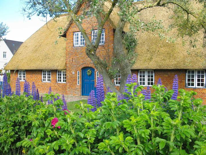 Ganze Ferienwohnung, Friesenhaus Sara - S4 in Wenningstedt, Sylt