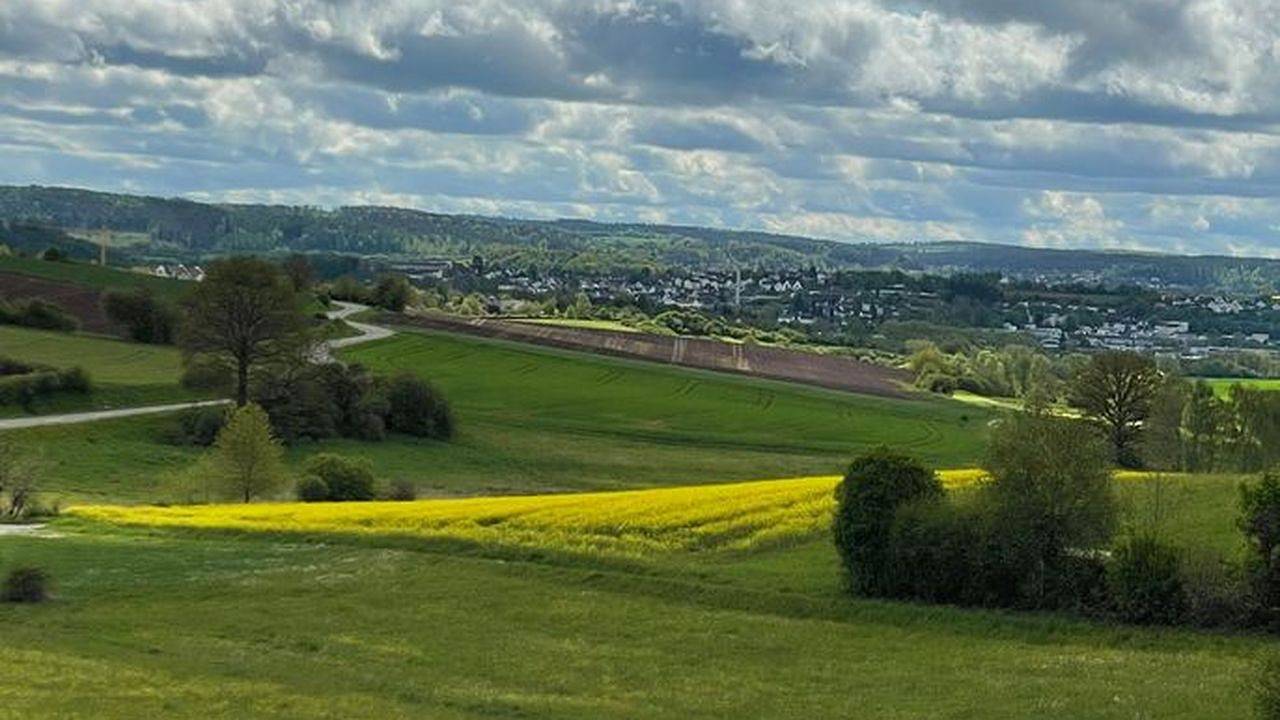 Entire holiday apartment, Ferienwohnung für 4 Personen (90 m²) in Frankenberg (Eder) in Frankenberg (Eder), Waldecker Land