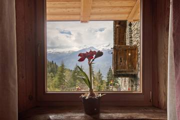 Hütte für 5 Personen in Comune di Charvensod, Westalpen, Bild 1