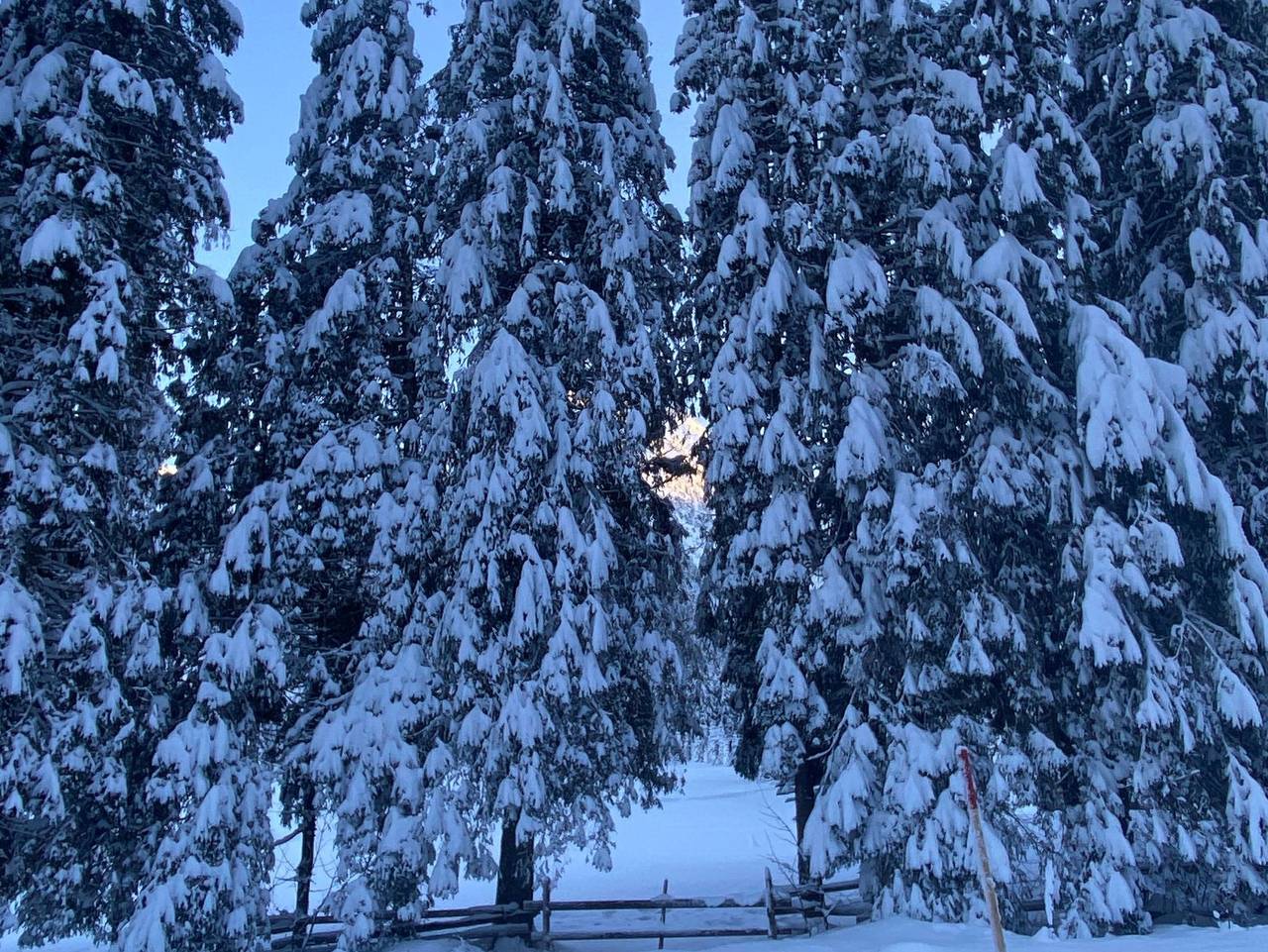 Ganze Ferienwohnung, Apartment Bergsymphonie - Apartment Tannheim in Tannheim (Tirol), Allgäuer Alpen (Österreich)