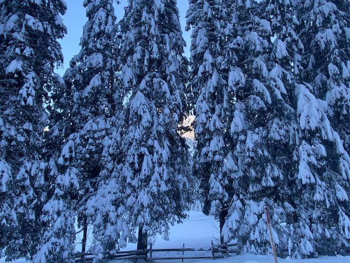 Ferienwohnung für 5 Personen, mit Garten und Balkon, mit Haustier in Tannheim (Tirol) - 4