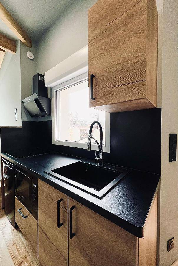Gîte pour 4 personnes, avec vue et jardin, animaux acceptés à Foix - 4