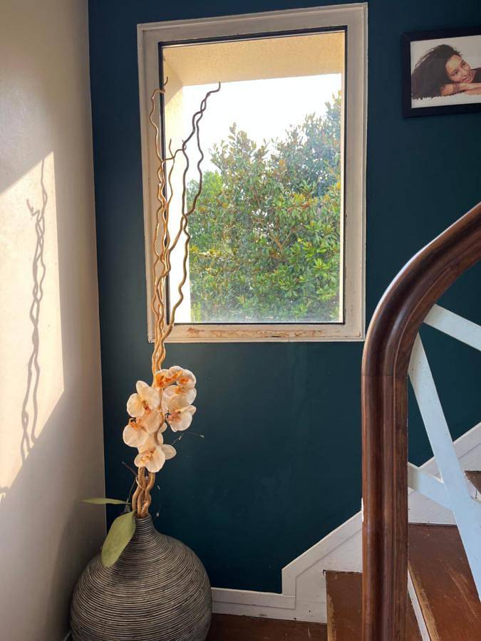 Gîte pour 6 personnes, avec jardin à Igny (Essonne) - 4