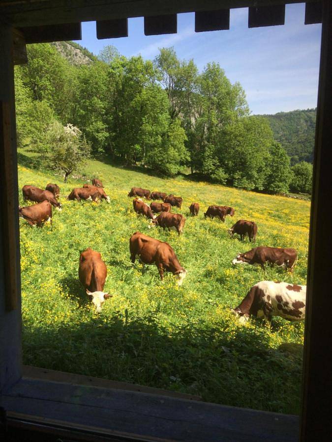 Location de vacances pour 7 personnes, avec terrasse ainsi que jardin et vue à Le Petit-Bornand-les-Glières - 4