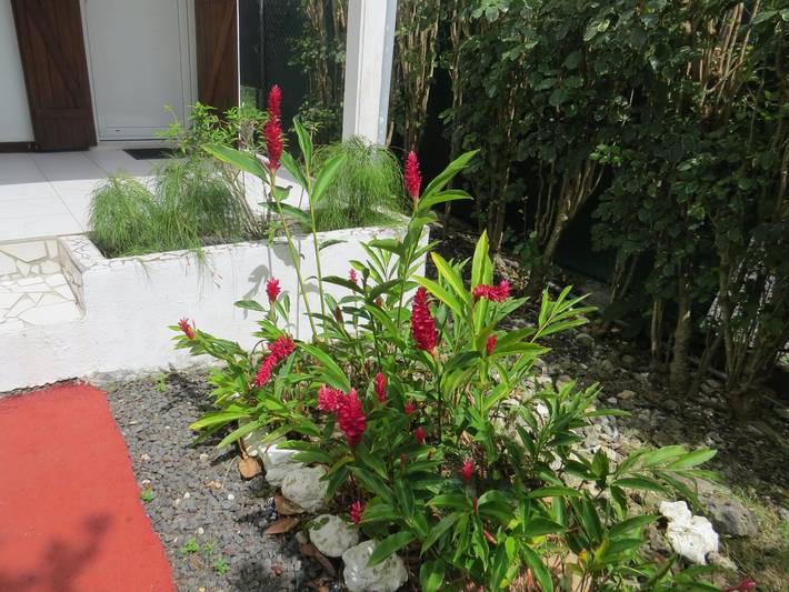 Location de vacances pour 4 personnes, avec terrasse ainsi que piscine et jardin à Saint-François - 4