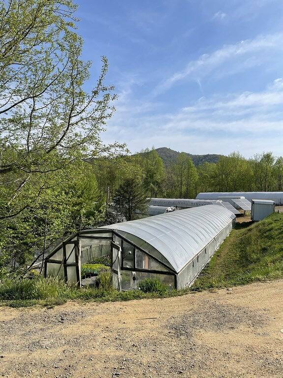Farm Life! The Rosemary Cabin at Bluff Mountain Nursery in Madison County (NC)