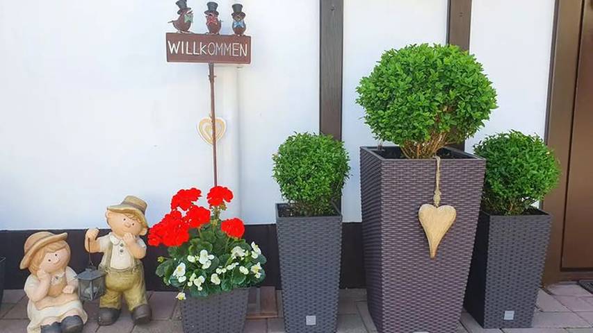 Ferienwohnung für 6 Personen, mit Garten und Terrasse in Benneckenstein - 2