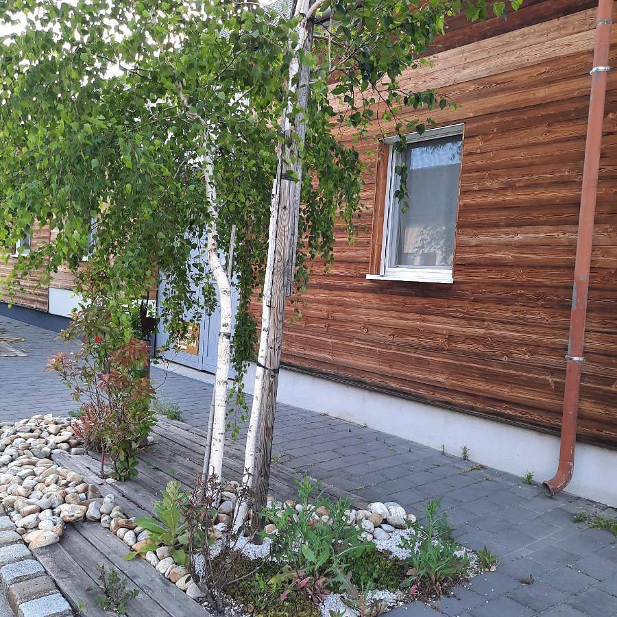 Ganze Wohnung, Ferienwohnung Fertsch in Apetlon, Neusiedlersee-Hügelland