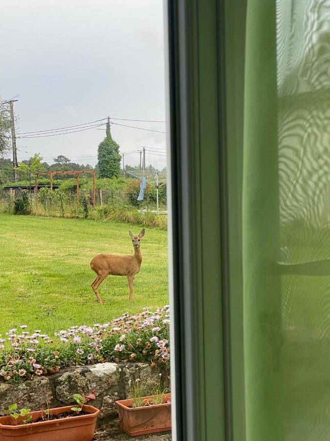 Maison de vacances pour 4 personnes, avec jardin et vue