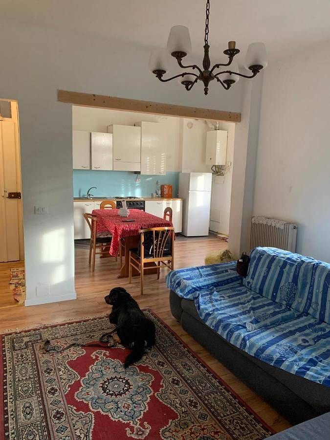 Gîte pour 3 personnes, avec jardin et terrasse, animaux acceptés à Spilimbergo