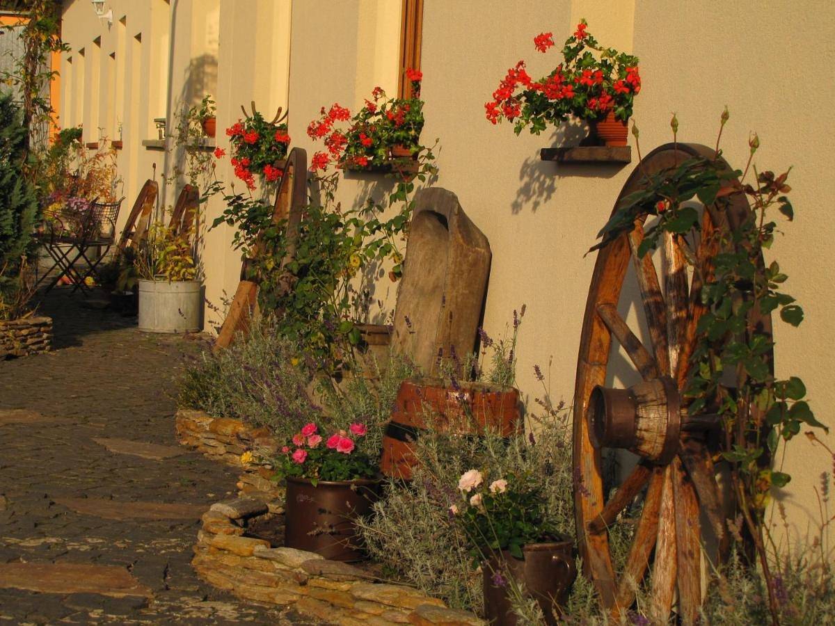 Pokoje Gościnne Skalnik - Agroturystyka- Różne pokoje in Küstrin, Oderbruch