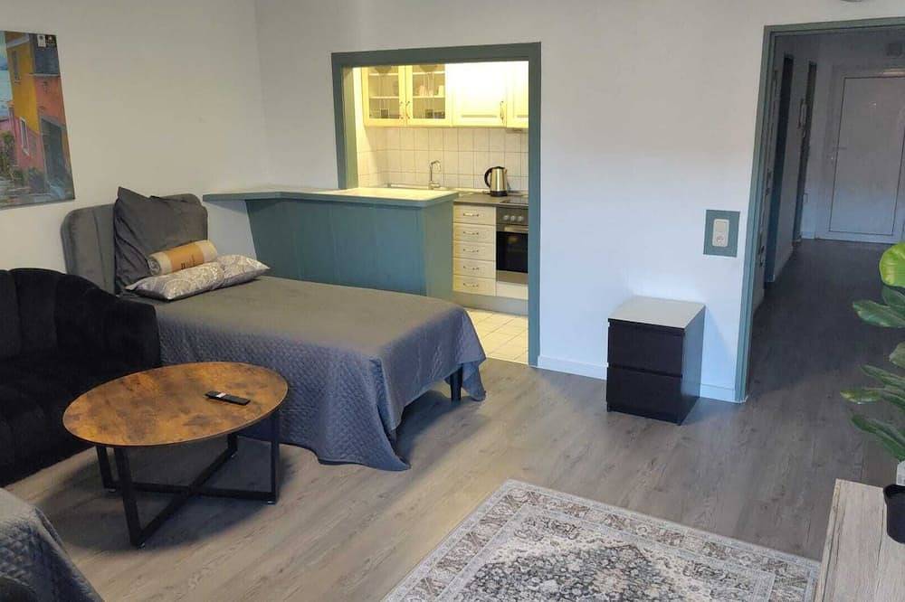 Ganze Wohnung, 2-Zimmer Wohnung in Innenstadtlage in Neumünster, Schleswig-Holstein Binnenland