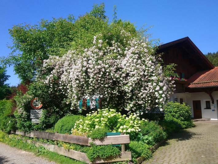 Ferienwohnung für 2 Personen, mit Terrasse und Garten in Rieden - 2