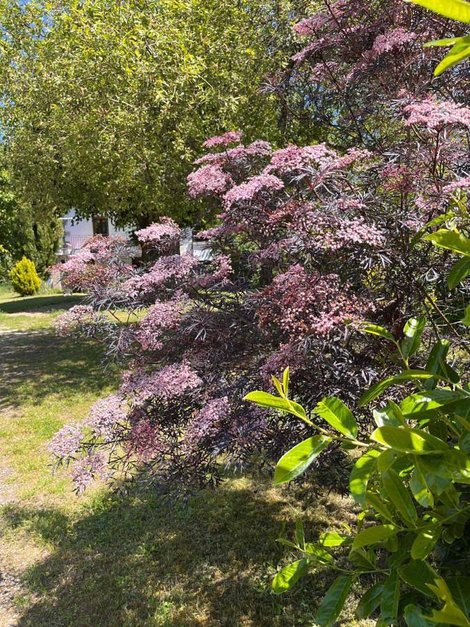 Location de vacances pour 4 personnes, avec vue et jardin à Briare - 4