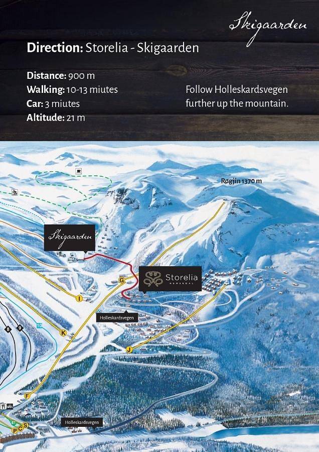 Chalet in Hemsedal Stadt, Hemsedal