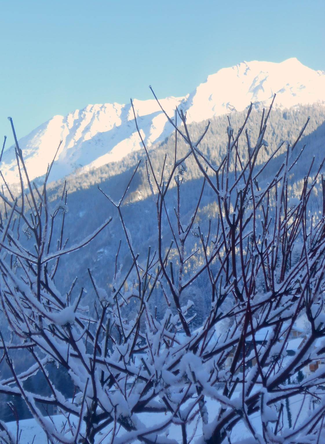 Geheel vakantieappartement, Ap Corinna / 2 bedrooms / shower, Wc in Meer , Verwall 