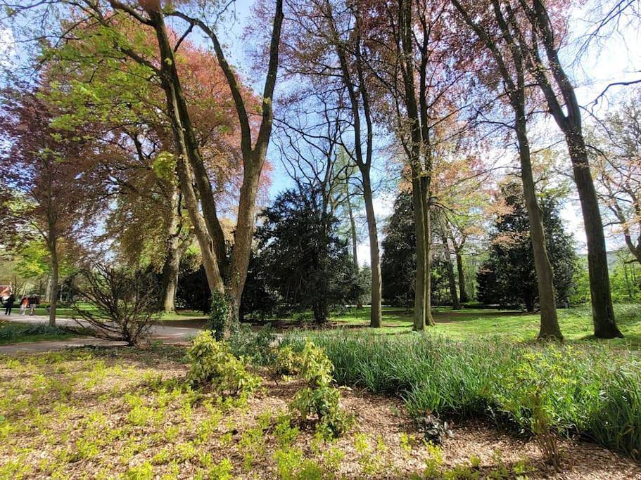 Ganze Wohnung, Mit Blick in den Emsseepark in Warendorf, Kreis Warendorf