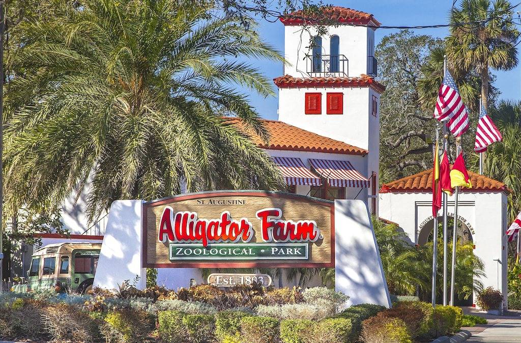 Beachside Bungalow - Neu gebaute - Schritte zum Meer !!! in Vilano Beach, St. Johns County