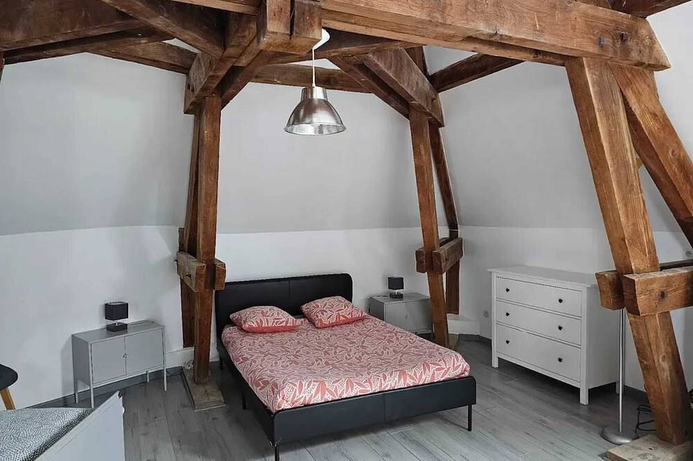 Entire apartment, Homerez - Apartment in Beaugency in Beaugency, Loire Valley