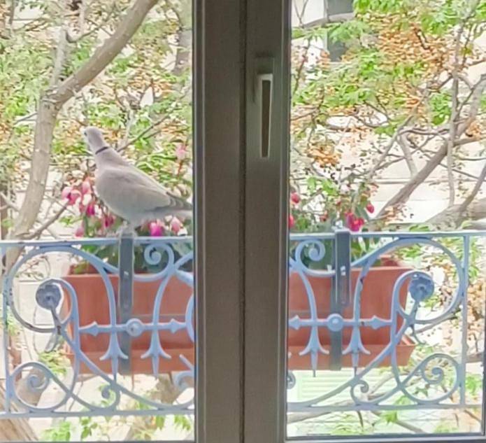 Location de vacances pour 4 personnes, avec balcon et vue à Aramon - 3