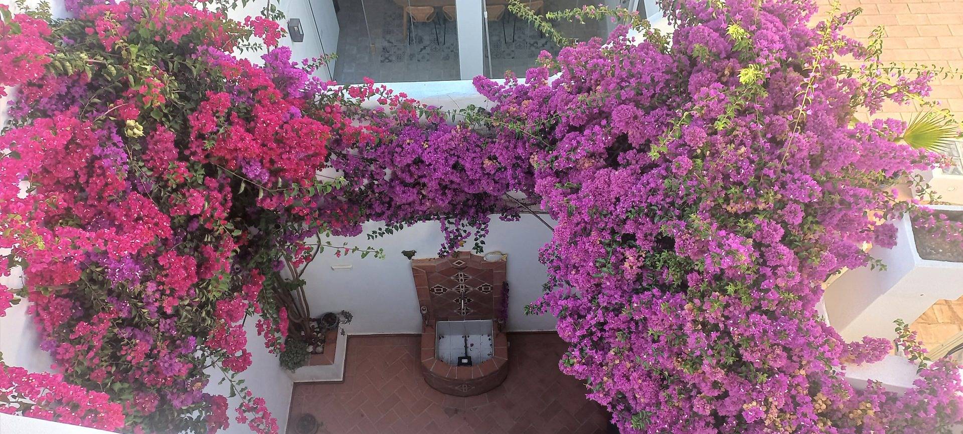 Oasis de Lumière, somptueuse maison d'exception in Olhão, Parque Natural da Ria Formosa